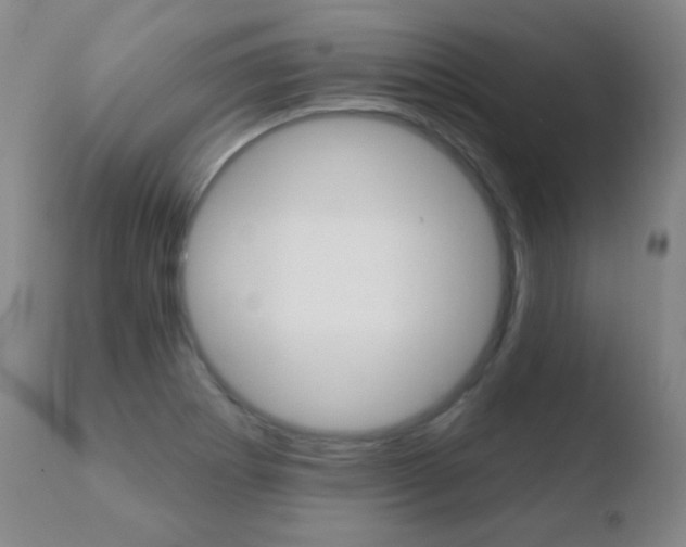 X0000110721273200906121238