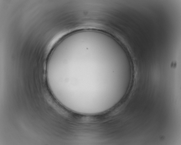 X0000110721275200906121238