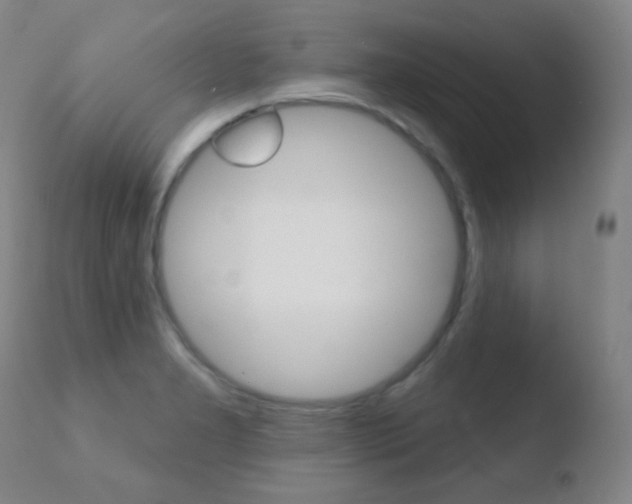 X0000110721277200906121238