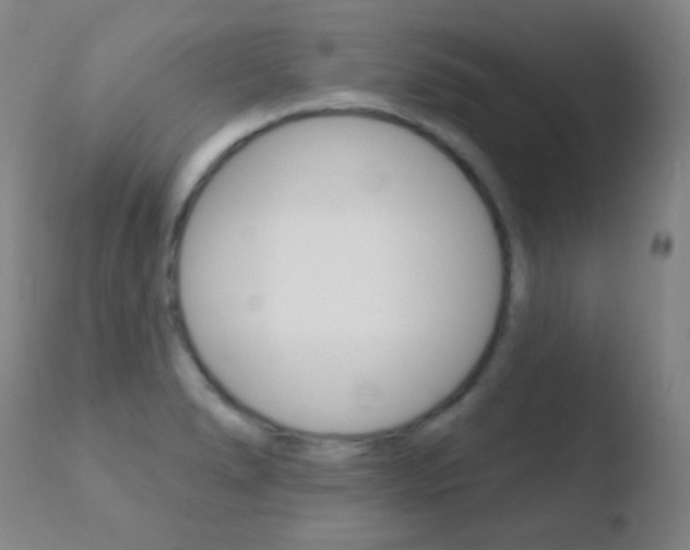 X0000110721278200906121238