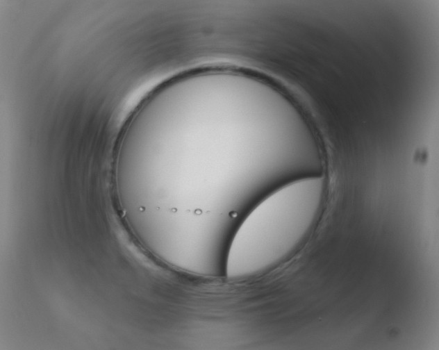 X0000110721279200906121237