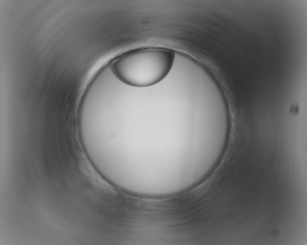 X0000110721280200906121237