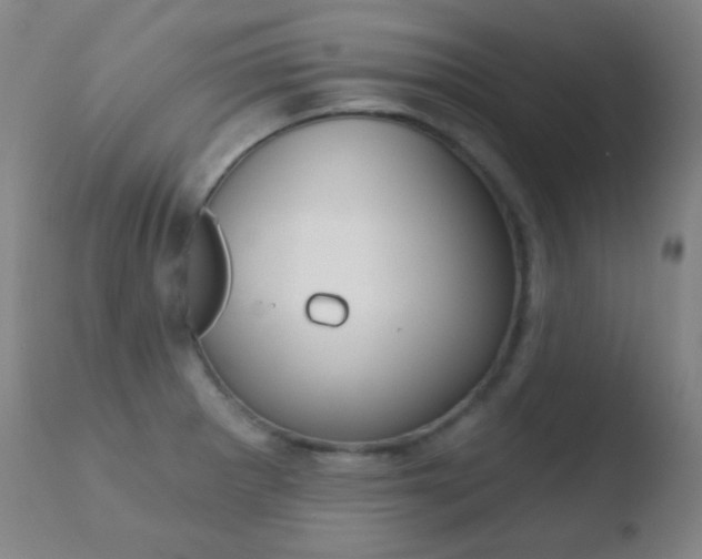 X0000110721281200906121237