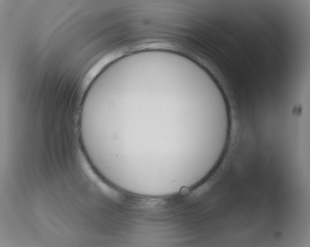 X0000110721282200906121237