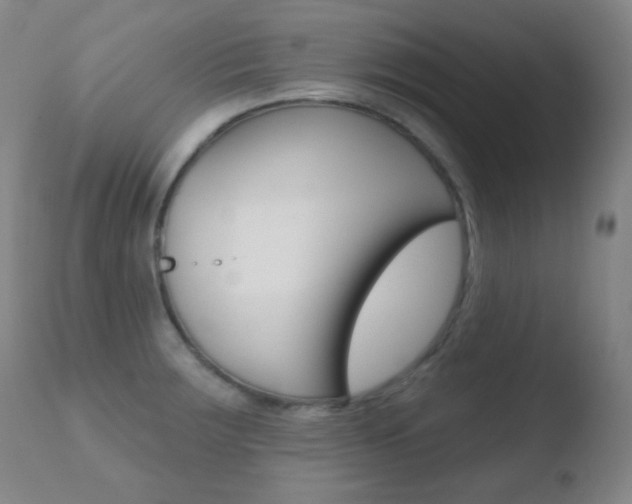 X0000110721283200906121237