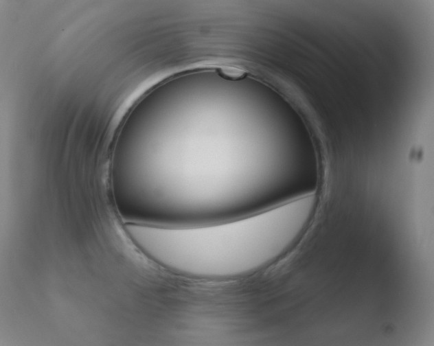 X0000110721284200906121237