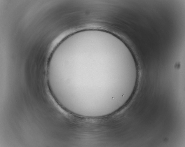 X0000110721286200906121237