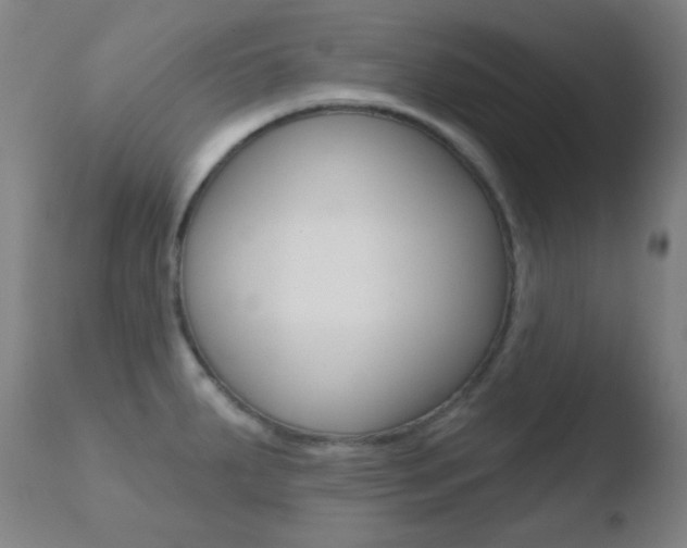 X0000110721287200906121237