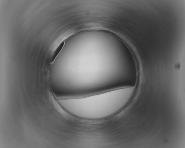 X0000110721289200906121237