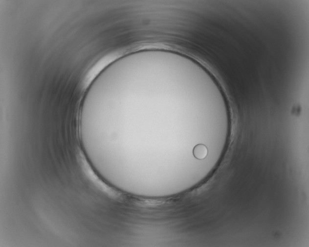 X0000110721290200906121237