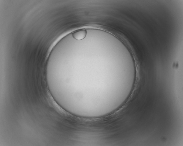X0000110721292200906121237