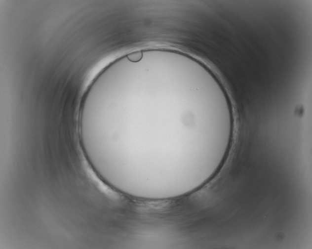 X0000110721294200906121237