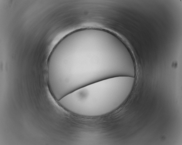 X0000110721295200906121237