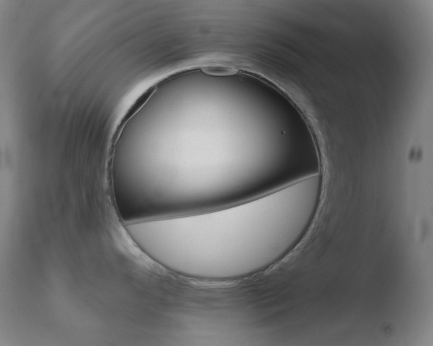X0000110721296200906121237