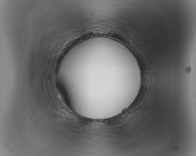 X0000110721297200906121236