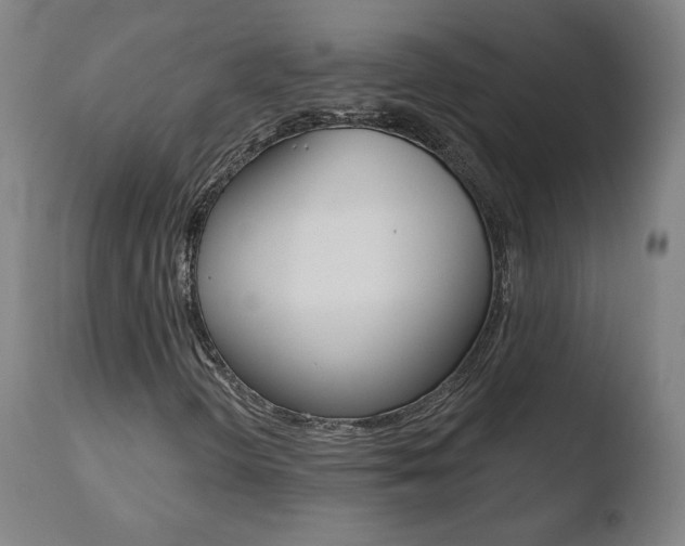 X0000110721298200906121236