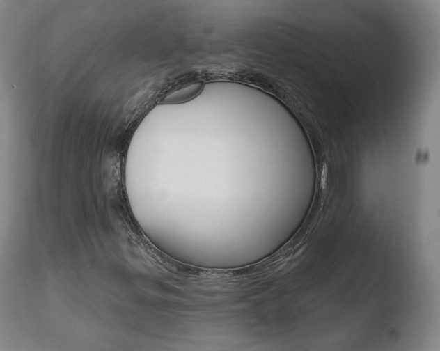X0000110721299200906121236