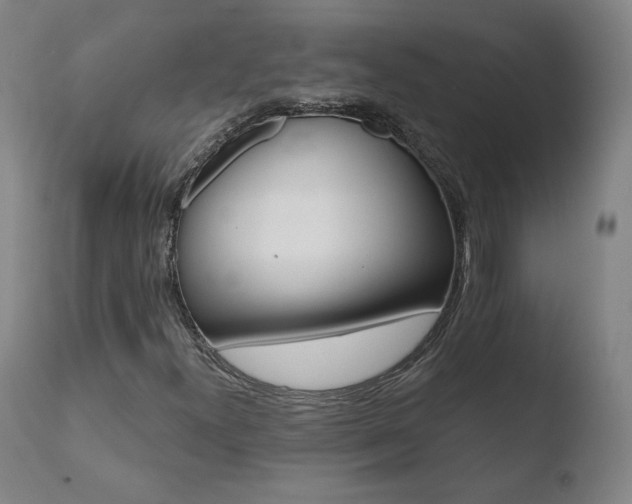X0000110721300200906121236