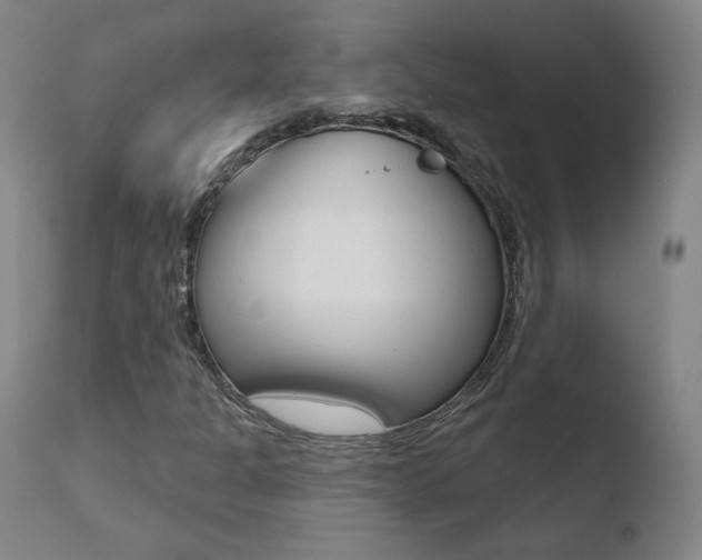 X0000110721301200906121236