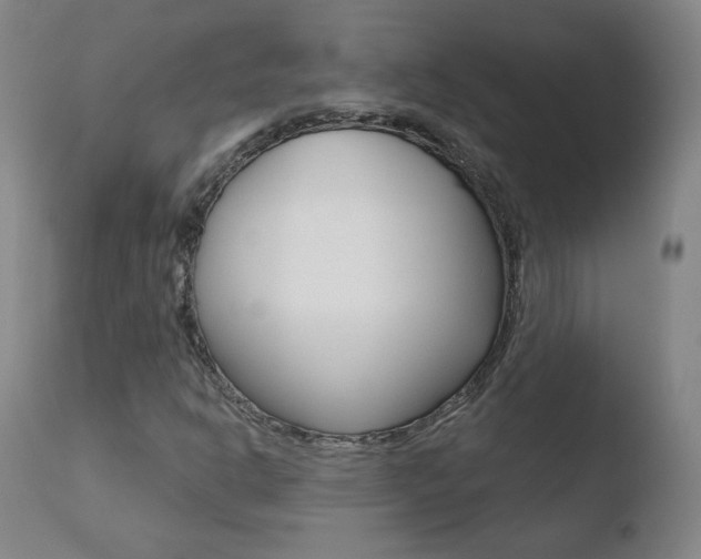 X0000110721302200906121237