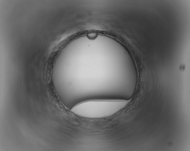 X0000110721303200906121237
