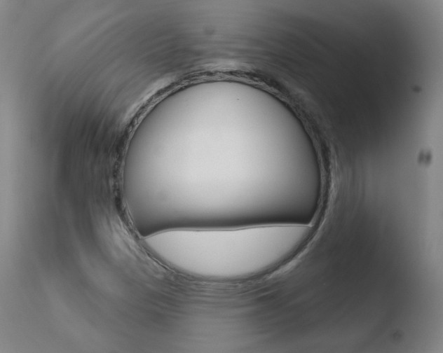 X0000110721305200906121237