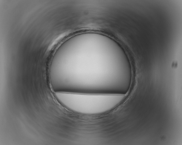 X0000110721307200906121237