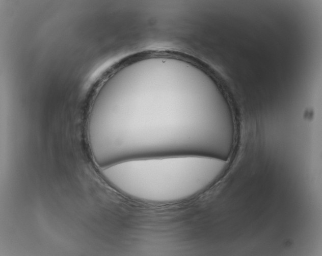 X0000110721311200906121237