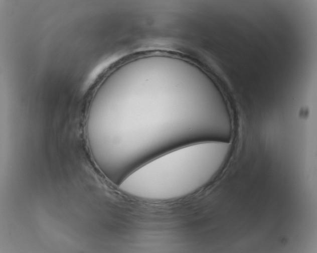 X0000110721312200906121237