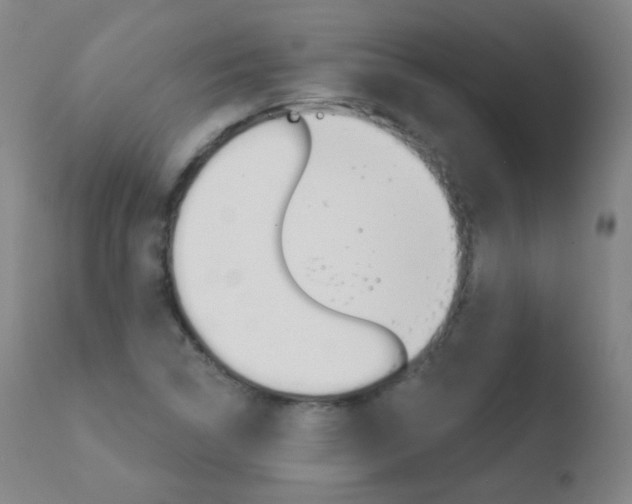 X0000110721314200906121237