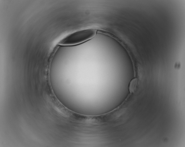 X0000110721316200906121237