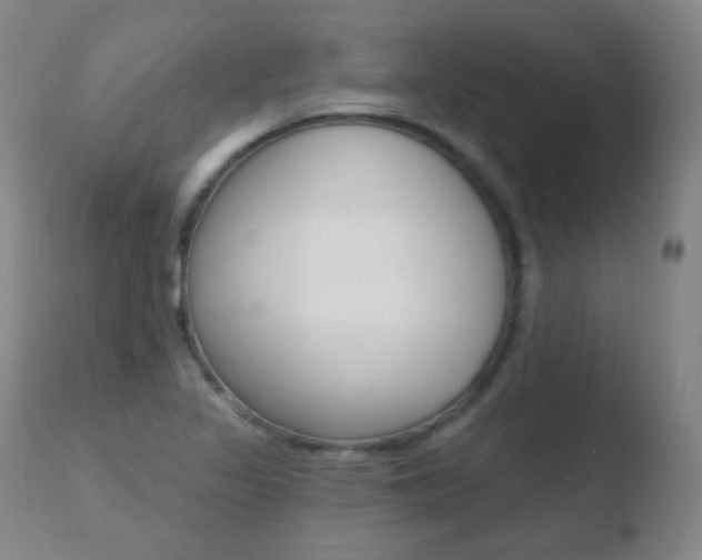 X0000110721317200906121237