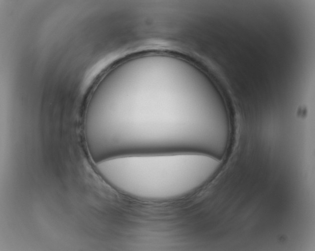 X0000110721318200906121237