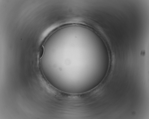 X0000110721320200906121237