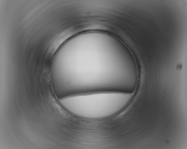 X0000110721321200906121237