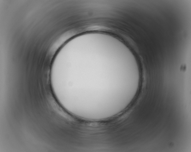 X0000110721322200906121237