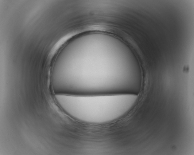 X0000110721323200906121237