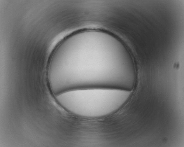 X0000110721327200906121237