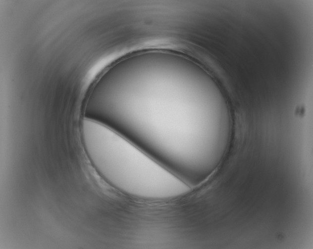 X0000110721328200906121237