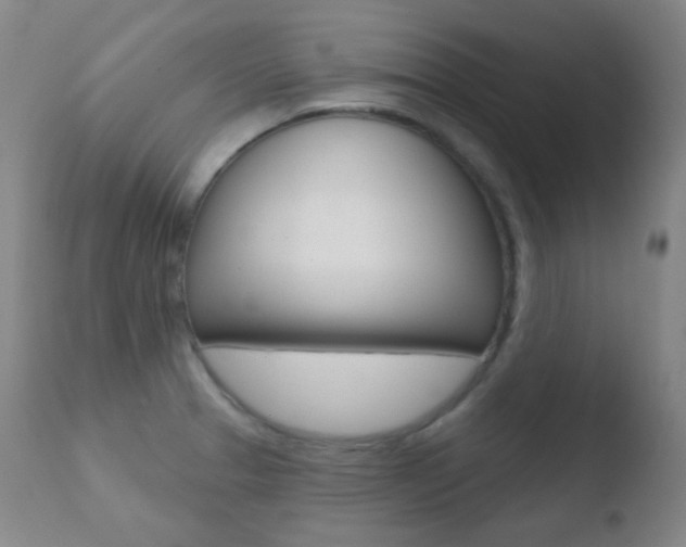 X0000110721329200906121237