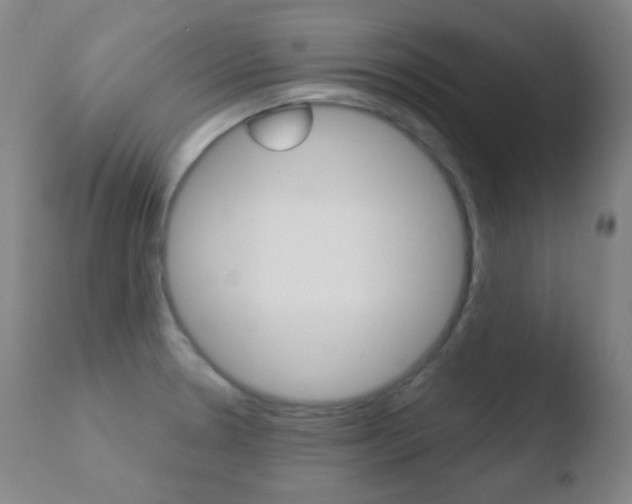 X0000110721330200906121237
