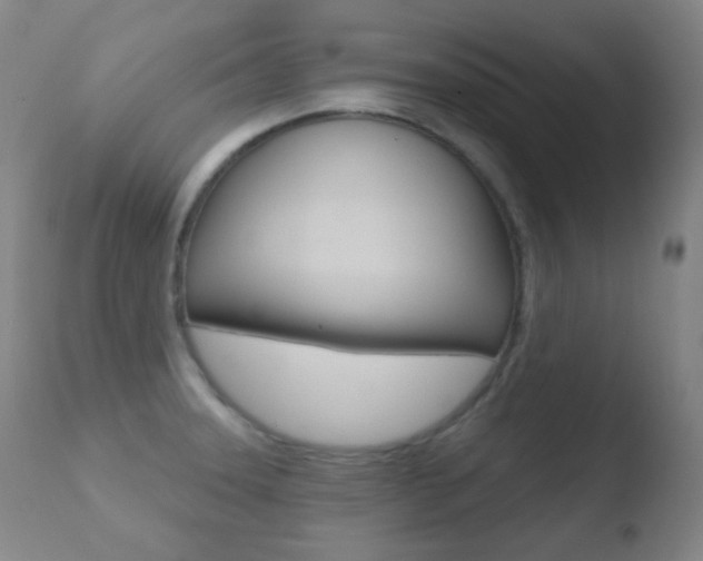 X0000110721331200906121237
