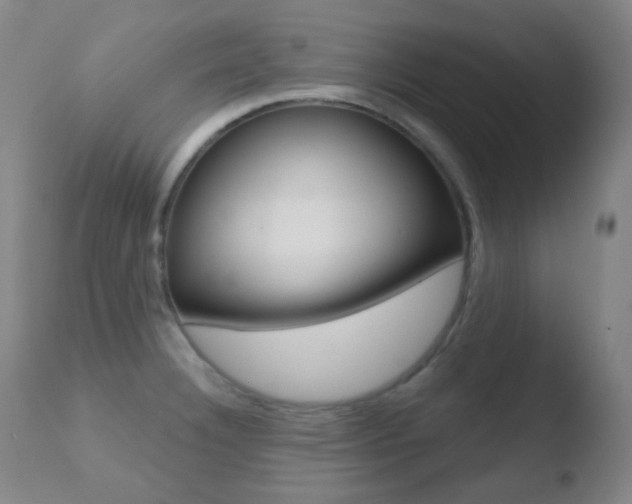 X0000110721332200906121237