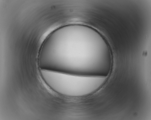 X0000110721333200906121237