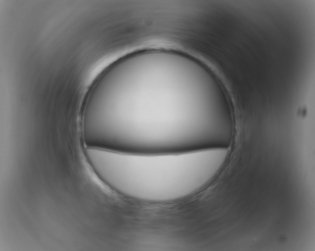 X0000110721335200906121237