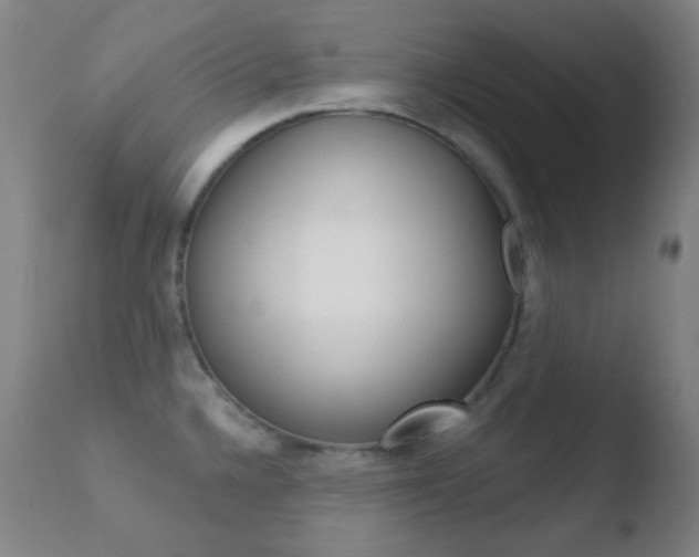 X0000110721336200906121237