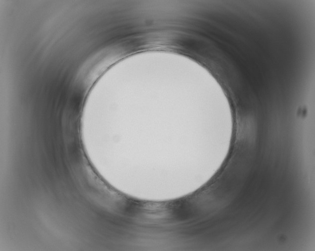 X0000110721338200906121237