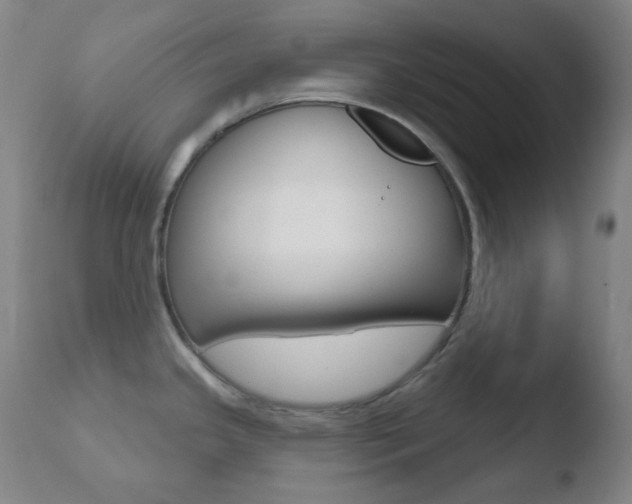 X0000110721341200906121237