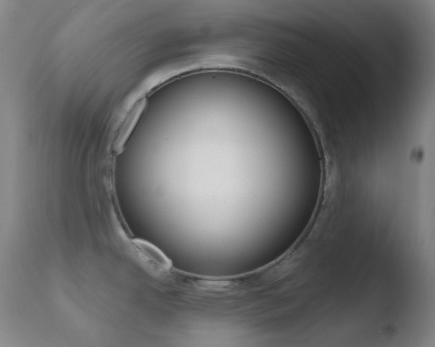 X0000110721342200906121237