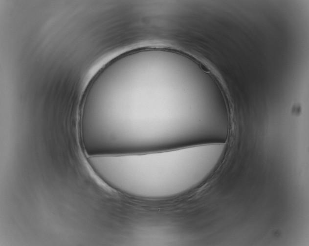 X0000110721343200906121237